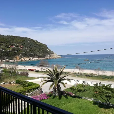 Olga Paltsi Paltsi Pilion