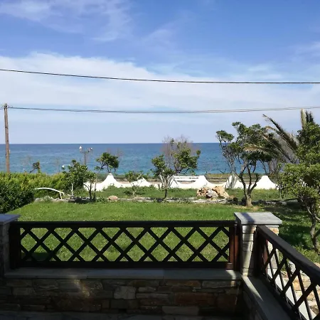 Olga Paltsi Paltsi Pilion