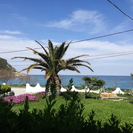 Olga Paltsi 3* Paltsi Pilion