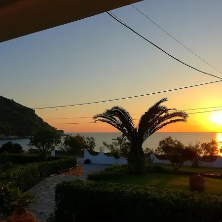 Olga Paltsi Paltsi Pilion