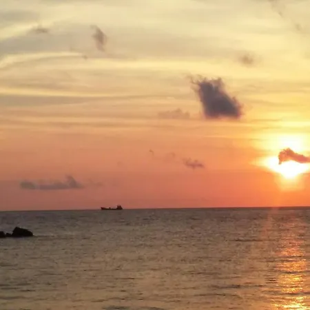 ゲストハウス Olga Paltsi 3*