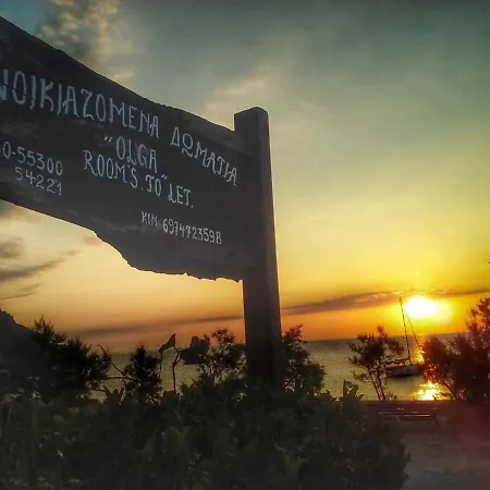 Olga Paltsi Paltsi Pilion