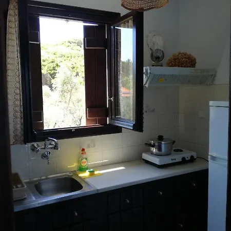 Olga Paltsi ゲストハウス