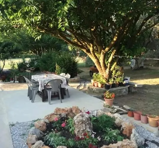 Olga Paltsi Paltsi Pilion