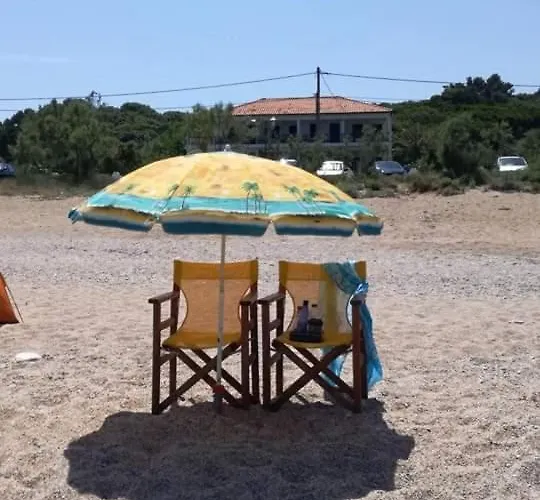 Olga Paltsi Guest house