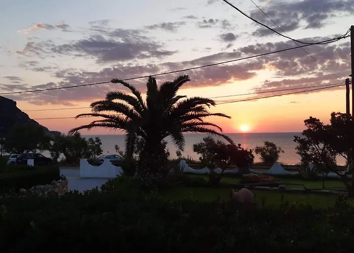 Guest house Olga Paltsi 3*