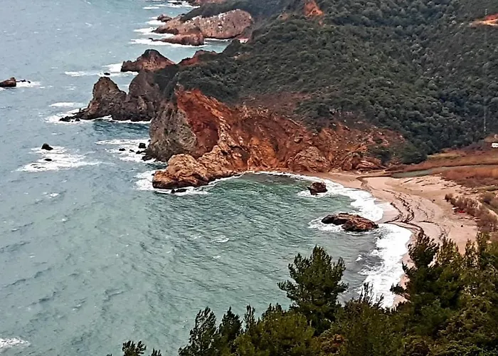 Olga Paltsi Guest house