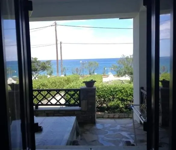 Olga Paltsi Paltsi Pilion