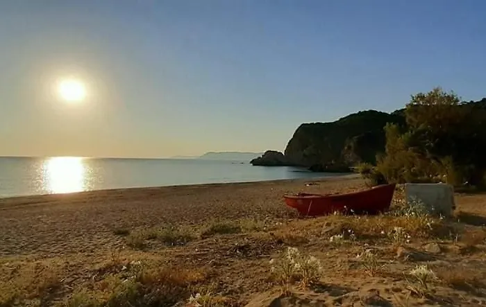 Olga Paltsi Guest house