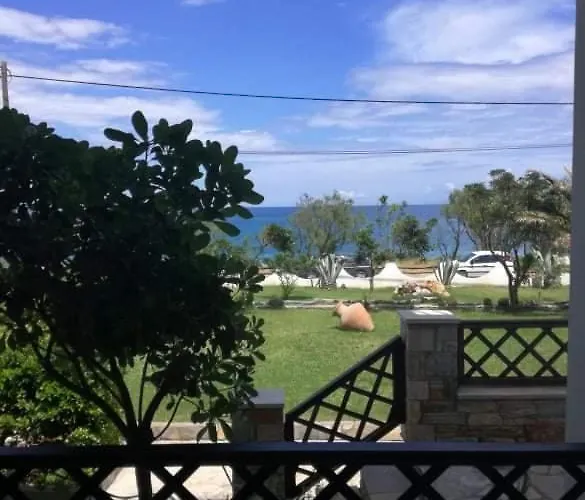 Olga Paltsi Paltsi Pilion