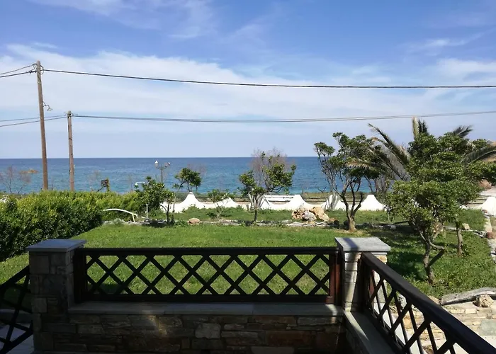 Olga Paltsi Paltsi Pilion