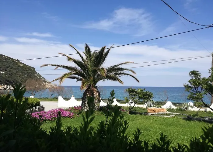 Olga Paltsi 3* Paltsi Pilion