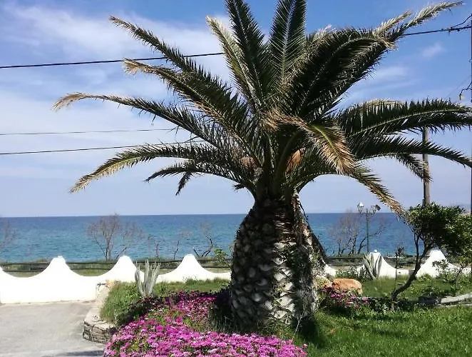 Olga Paltsi Paltsi Pilion