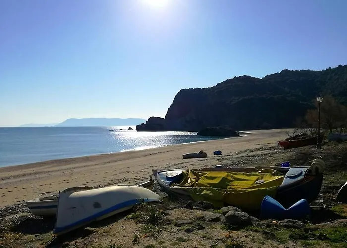 Olga Paltsi Guest house