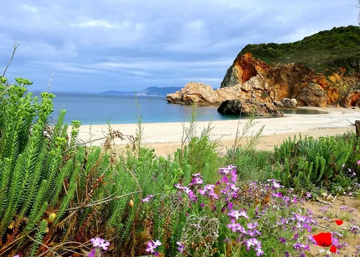 Guest house Olga Paltsi Paltsi Pilion