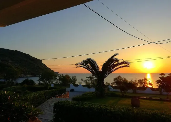 Olga Paltsi Paltsi Pilion