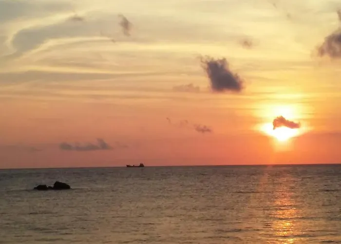 Guest house Olga Paltsi 3*