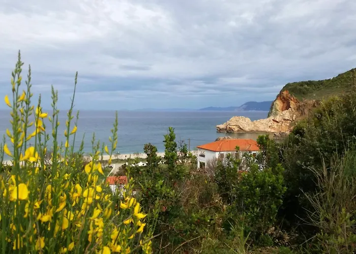 Olga Paltsi Guest house Paltsi Pilion