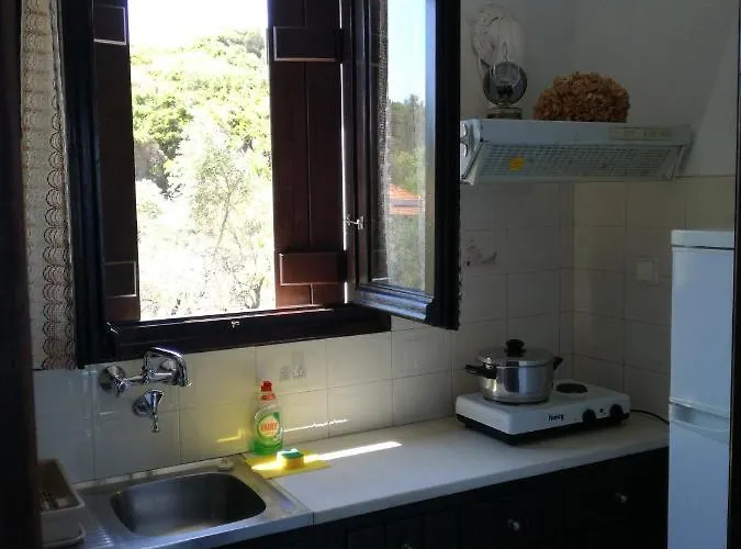 Olga Paltsi Guest house